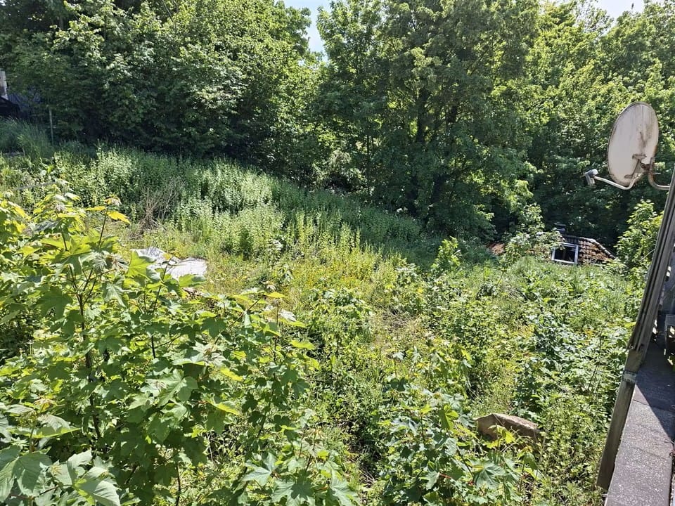 zentrales Grundstück in Nideggen - Ihr Raum für Visionen und Projekte