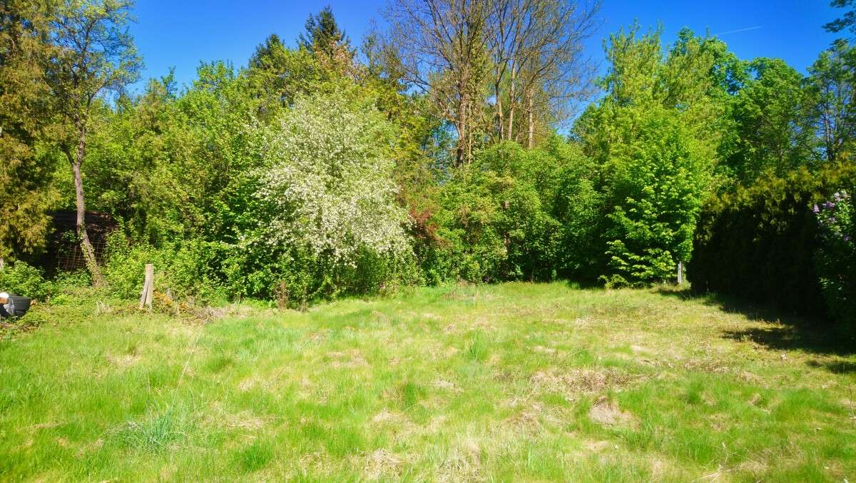 Bild von Ländliches Traumgebiet! Hier entsteht Ihr neues Zuhause - Grundstück in Moos