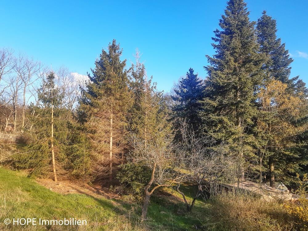 Bild von Großzügiges Traumgrundstück in exklusiver Höhenlage von Niederau