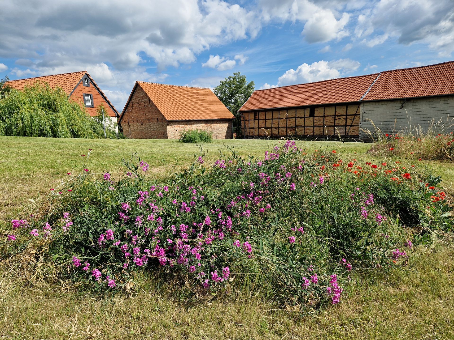 Bild von Baugrundstück mit Scheune in ruhiger Ortslage von Blankenburg OT Heimburg