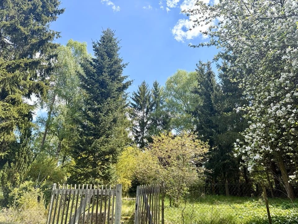 Bild von Ein Rückzugsort für Individualisten in Bayreuth - Premium Grundstück mit 1.292 m²