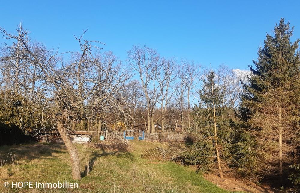 Bild von Großzügiges Traumgrundstück in exklusiver Höhenlage von Niederau