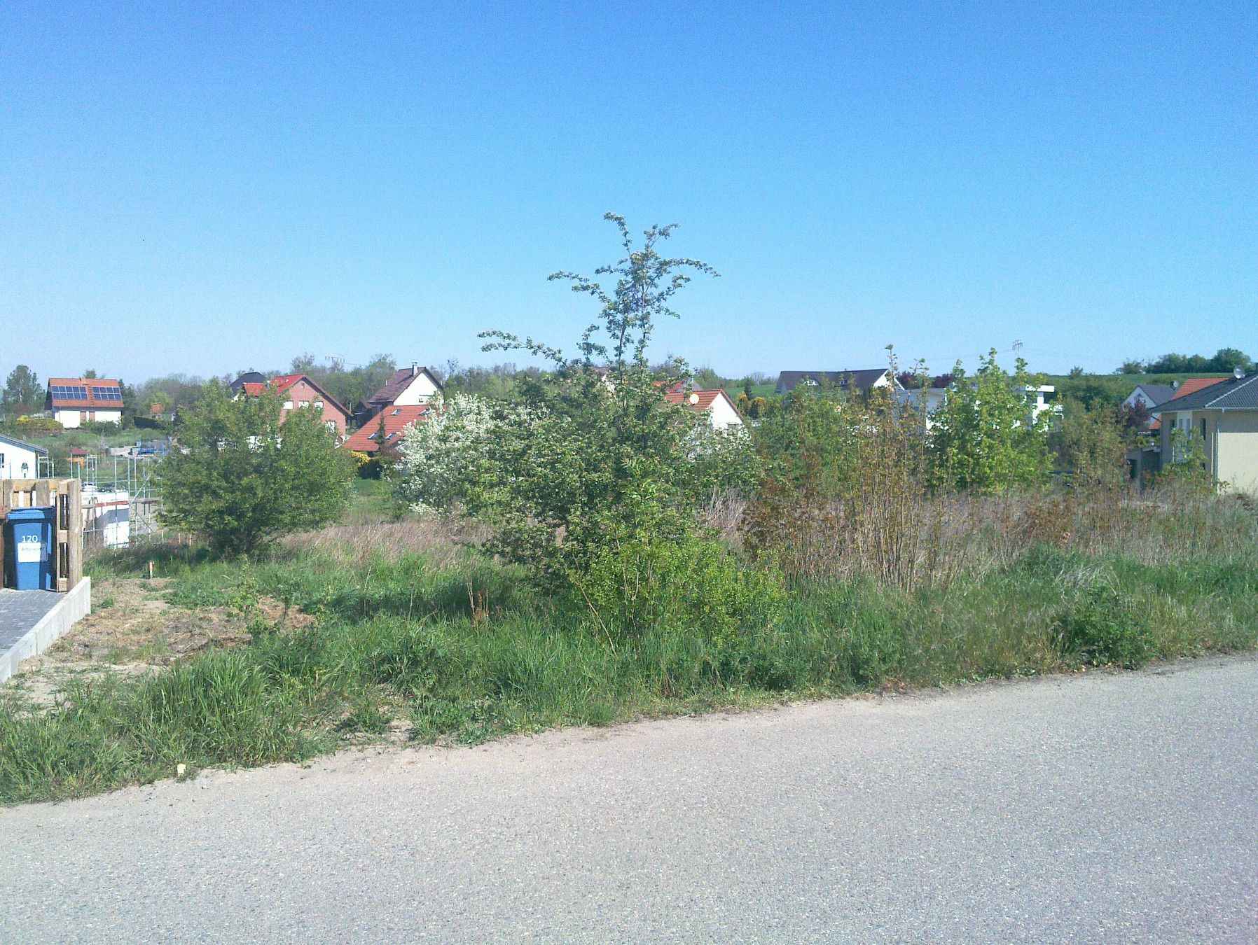 Bild von Baugrundstück in ruhiger Lage von Mageburg-Beyendorf