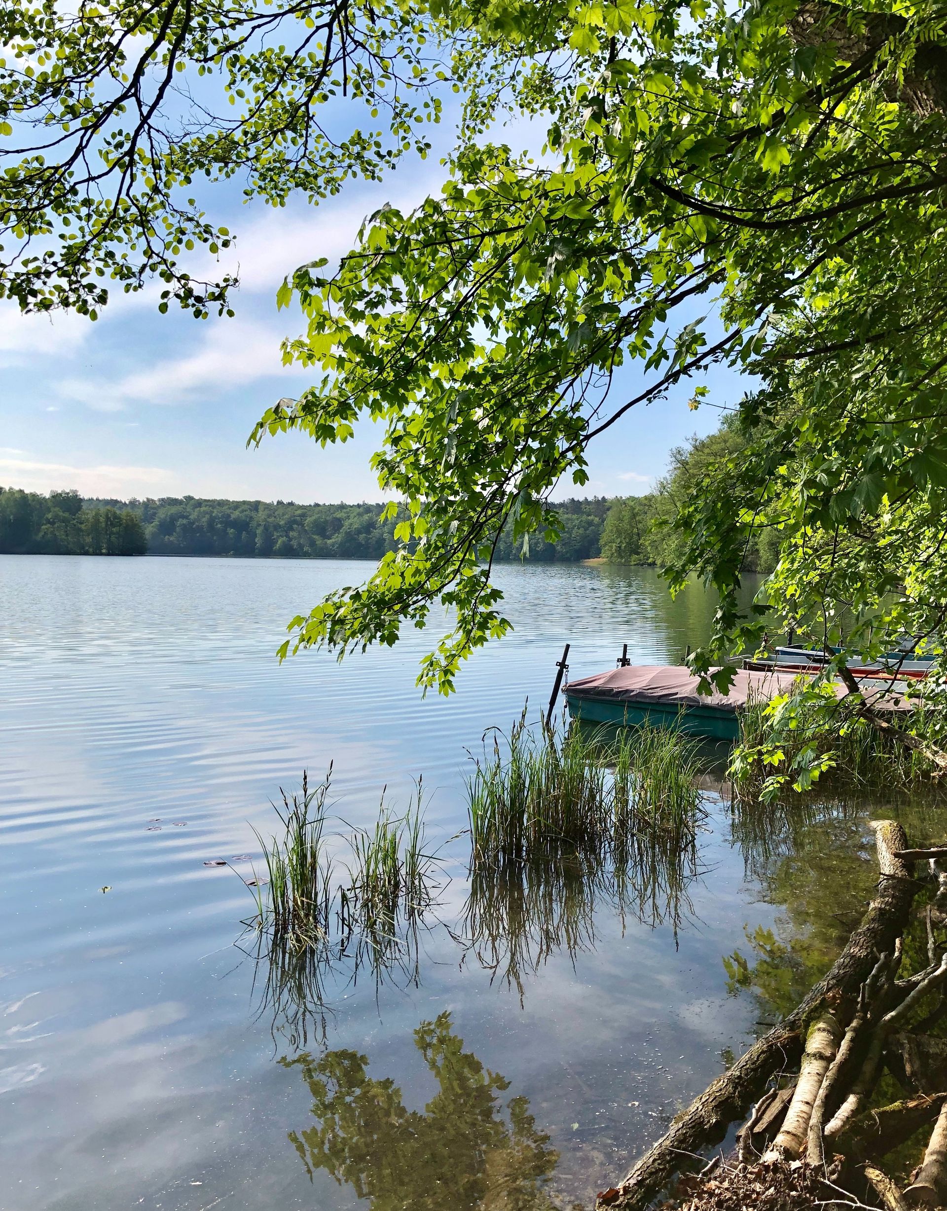 Bild von Premiumadresse in unmittelbarer Wassernähe ** provisions- und bauträgerfrei**
