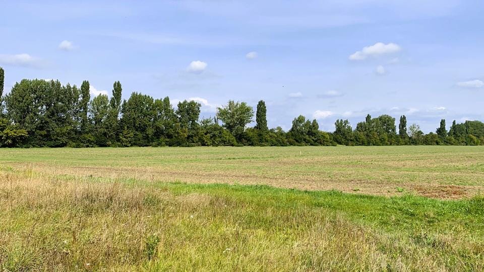 Bild von Seegrundstück mit eigenem Anleger – seltene Gelegenheit am Cramoner See