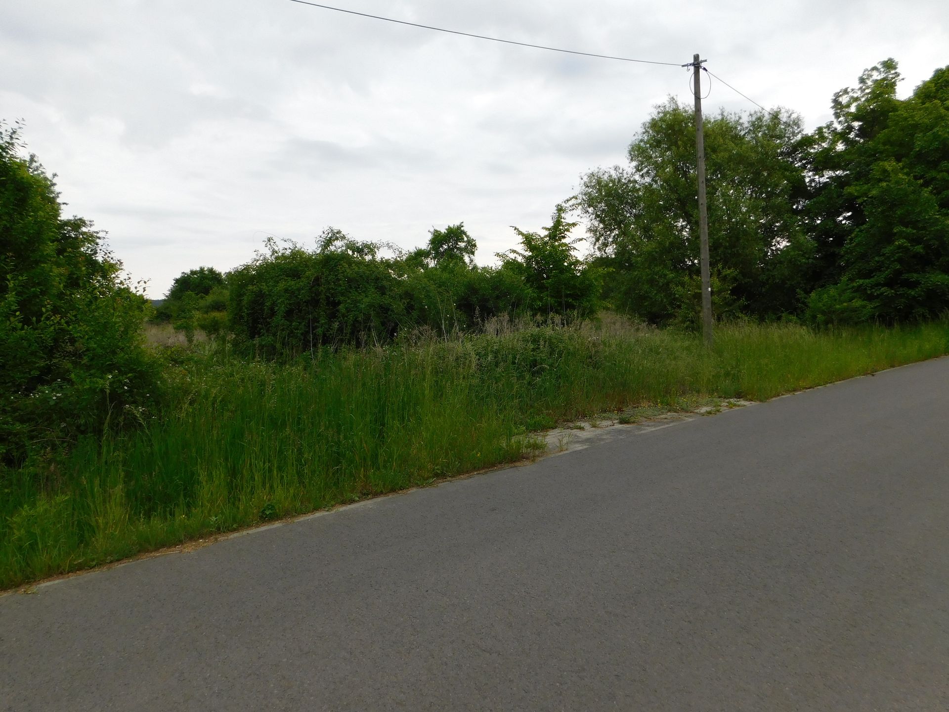 Bild von Baugrundstück nördlicher Rand von Pritzen