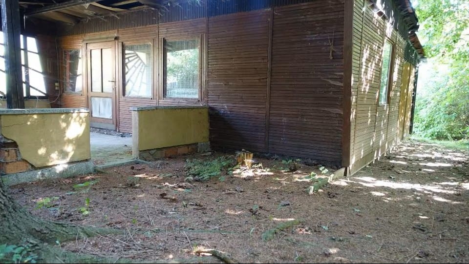 Bild von Wohnen in Freiberg – umgeben von Natur