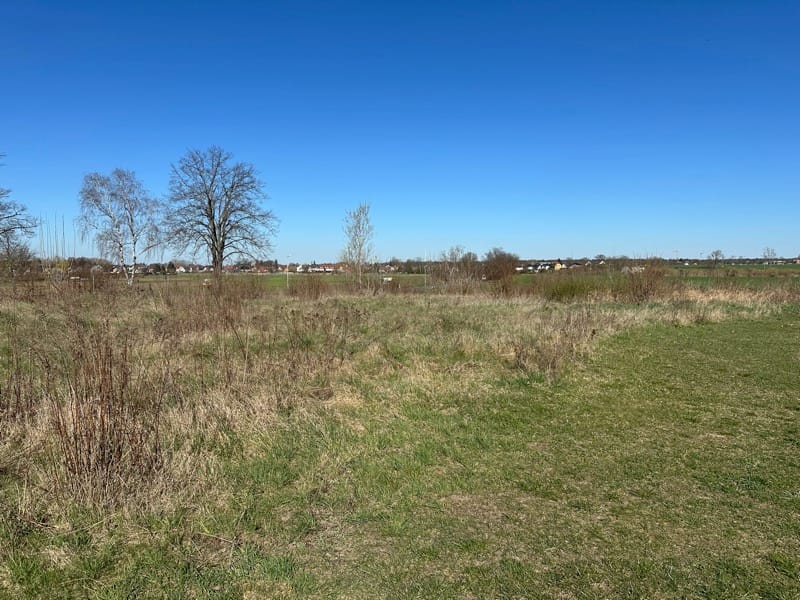 Bild von Zinsfrei ins Eigenheim: Ihr Familienglück in Eiche – Provisionsfrei direkt vom Eigentümer!