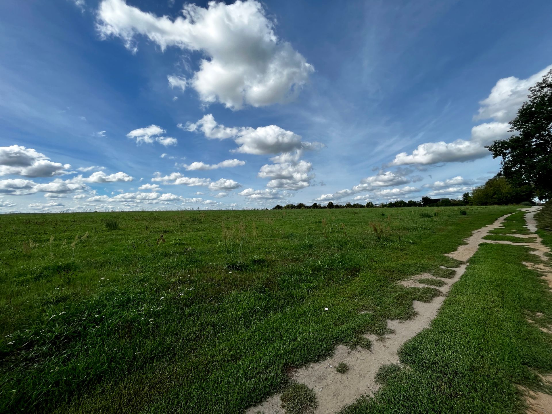 Bild von Ruhiges Baugrundstück mit unverbaubarem Blick – Bernau Nibelungen