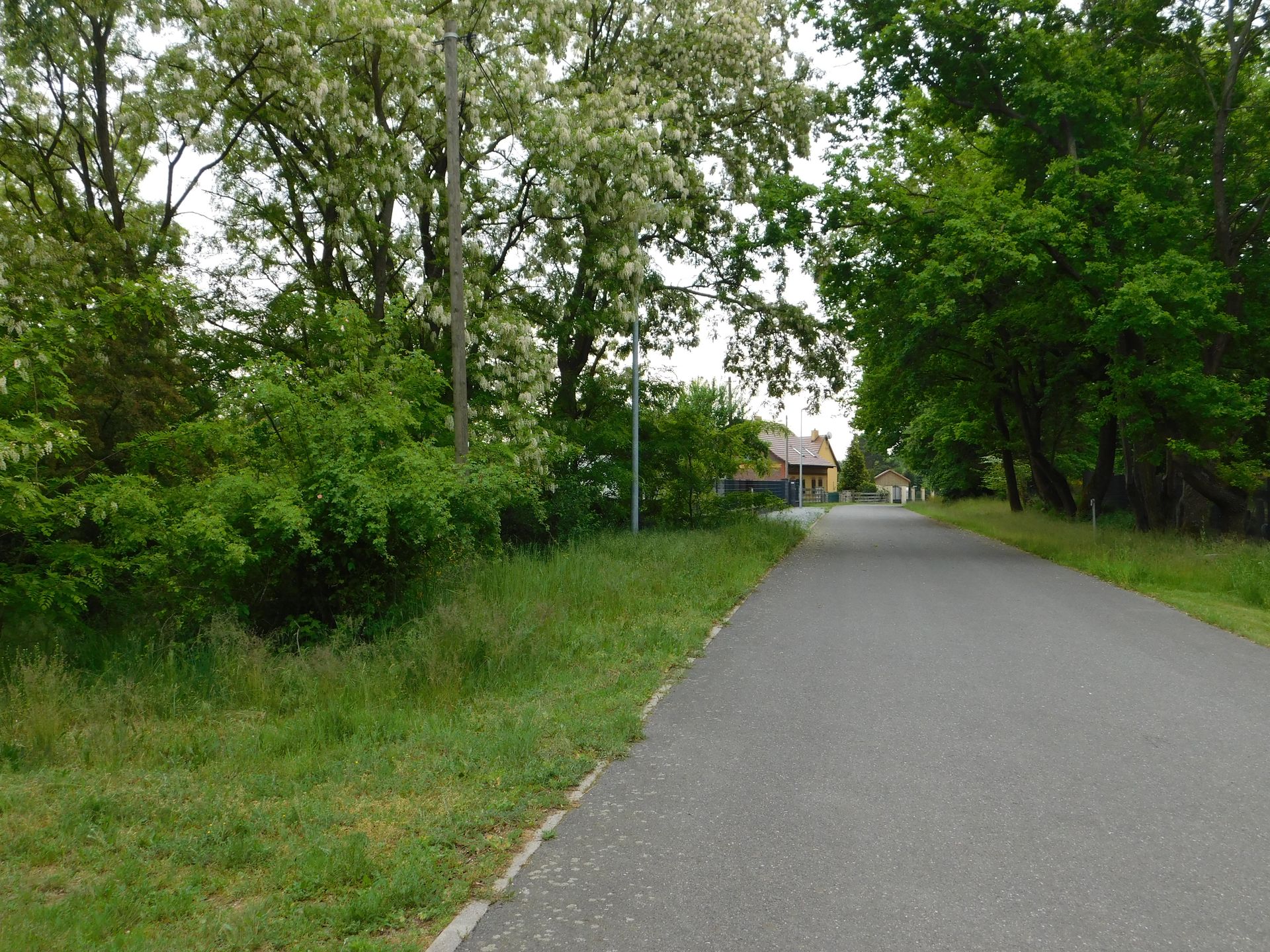 Bild von Baugrundstück östlicher Rand von Pritzen