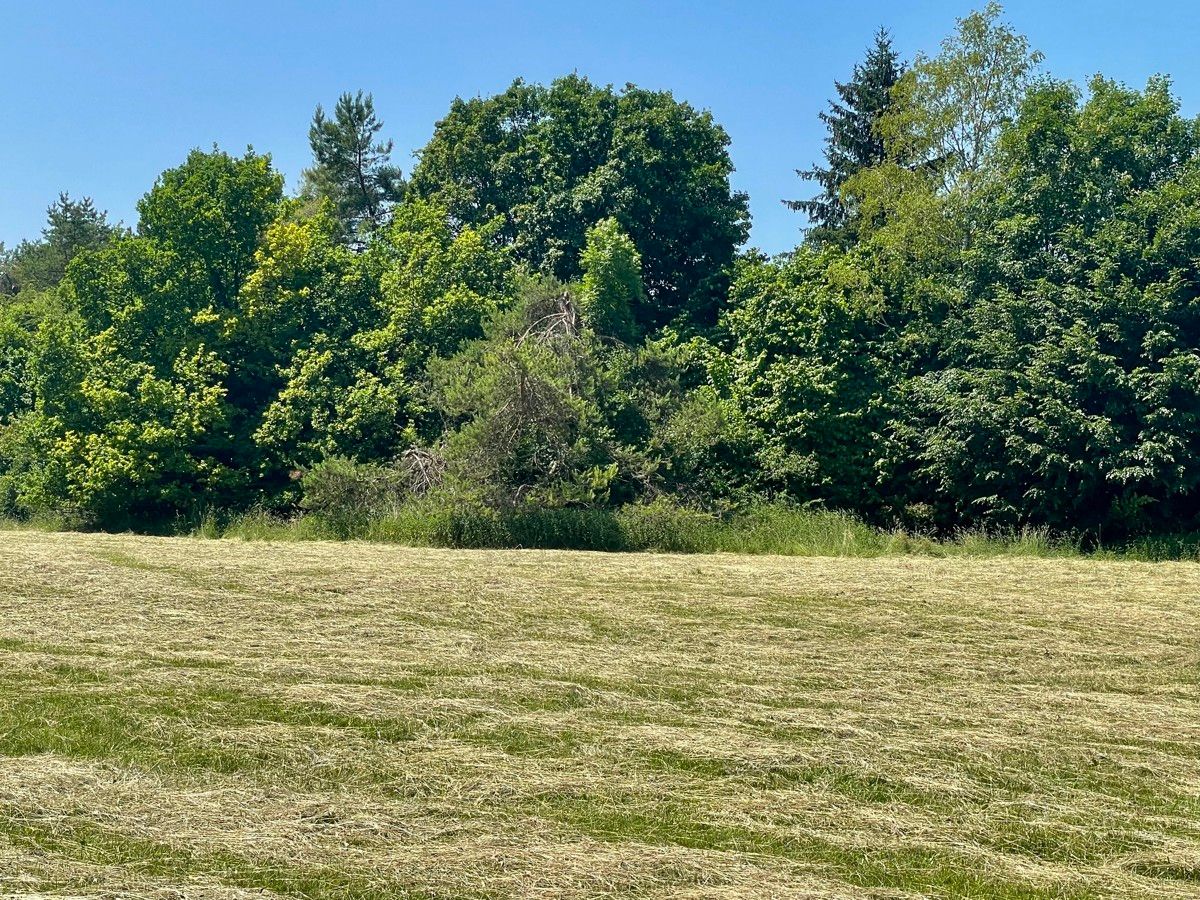 Bild von Urbanes Traumgrundstück am Siebentischwald