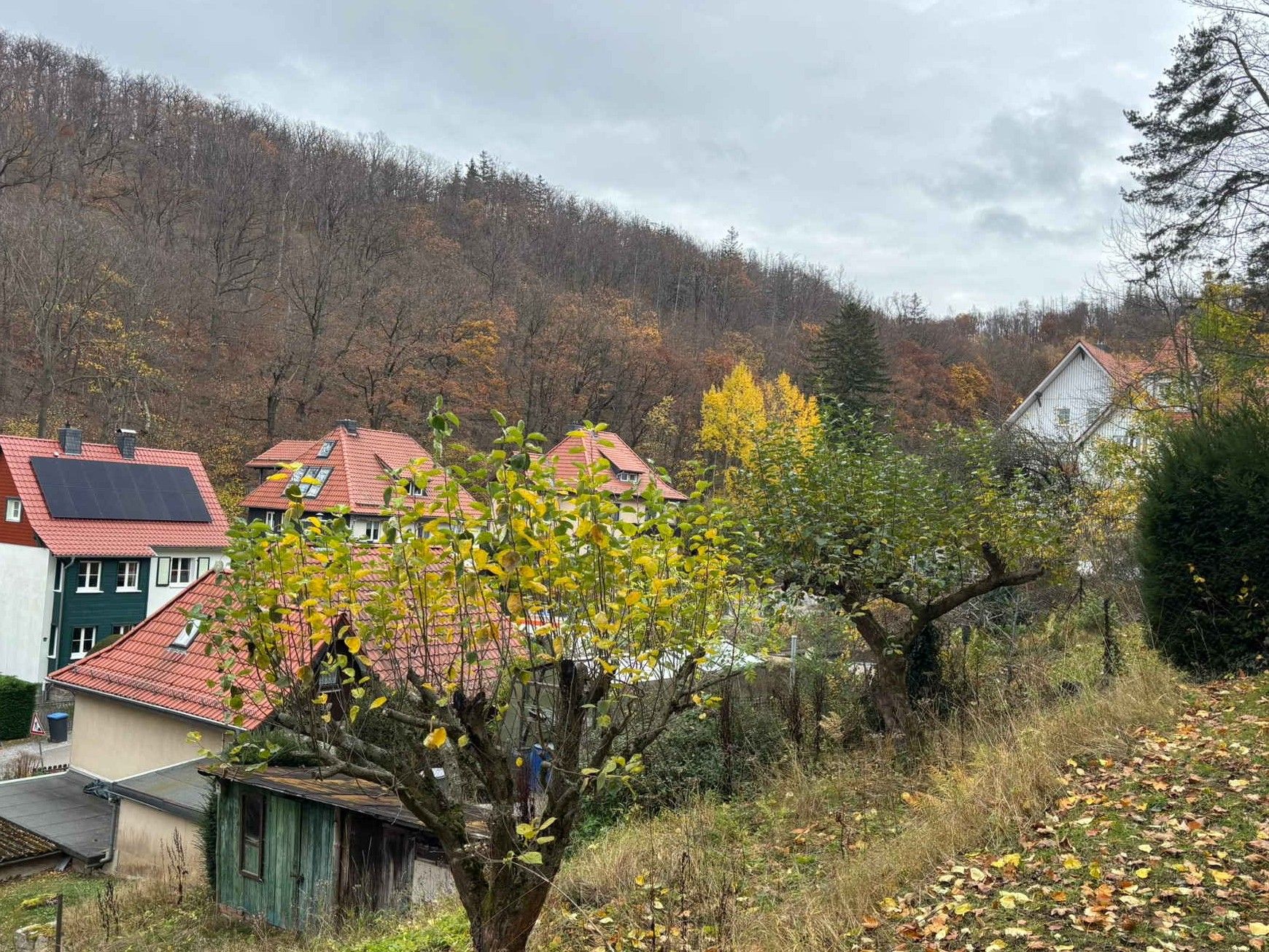 Bild von Wernigerode am Waldrand
