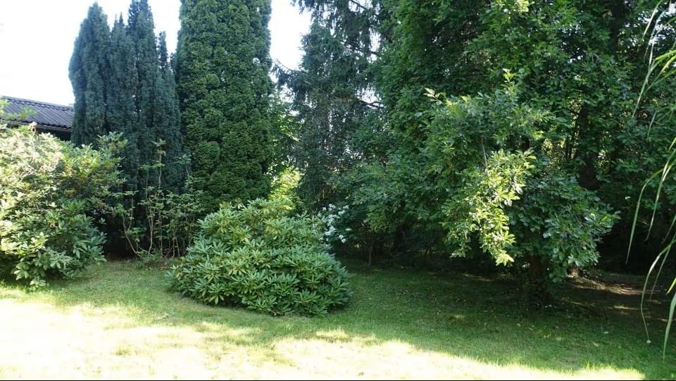 Bild von Wohnen in Freiberg – umgeben von Natur