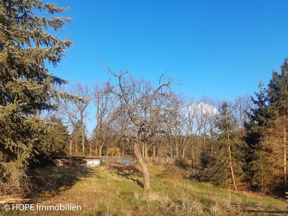 Bild von Großzügiges Traumgrundstück in exklusiver Höhenlage von Niederau