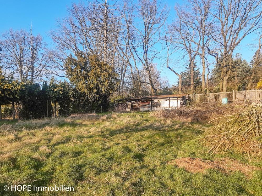 Bild von Großzügiges Traumgrundstück in exklusiver Höhenlage von Niederau