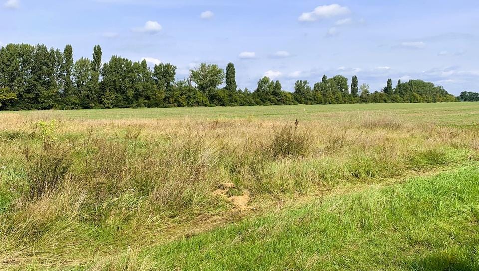 Bild von Bauplatz mit Weitblick für Einzel- oder Doppelhaus