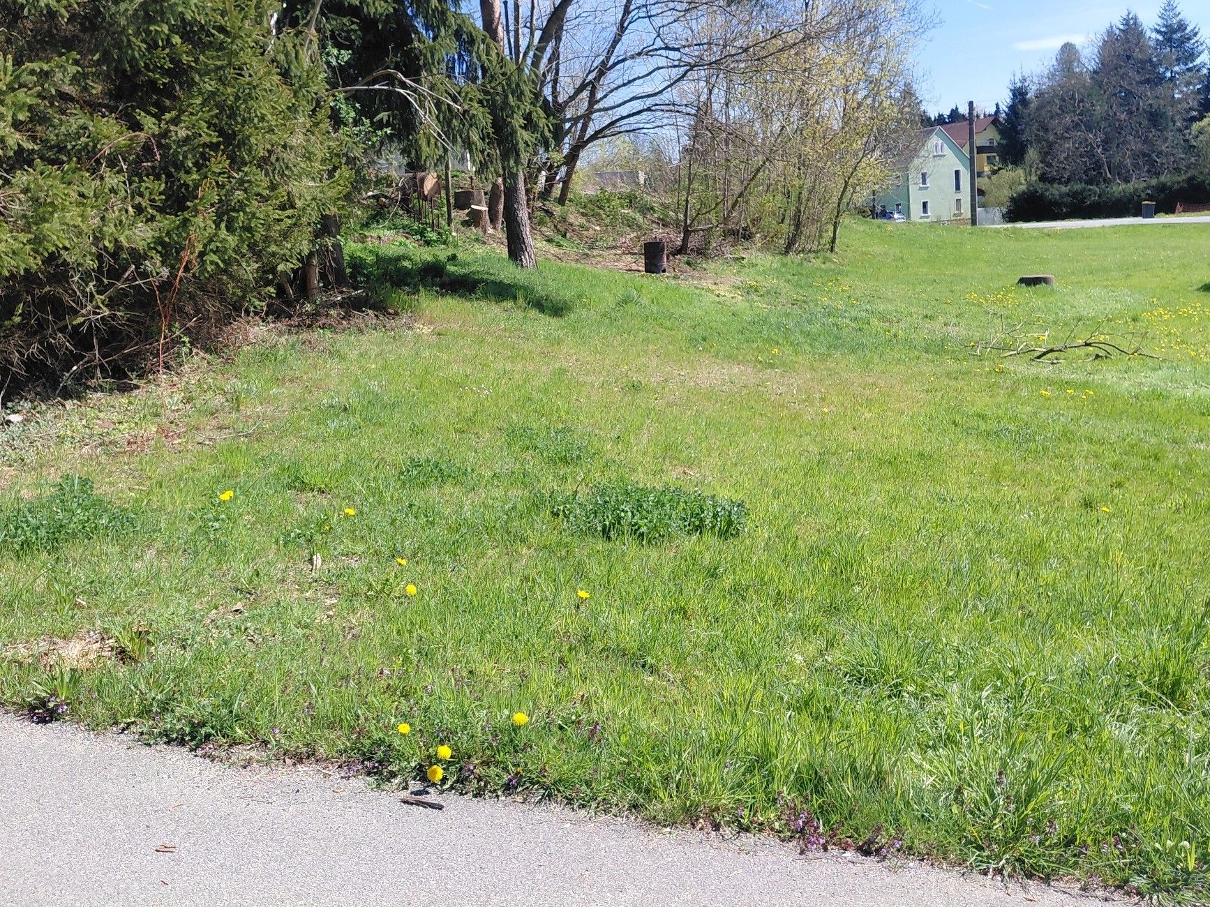 Bild von Bauland in Stolpen im Ortsteil Langenwolmsdorf zu verkaufen