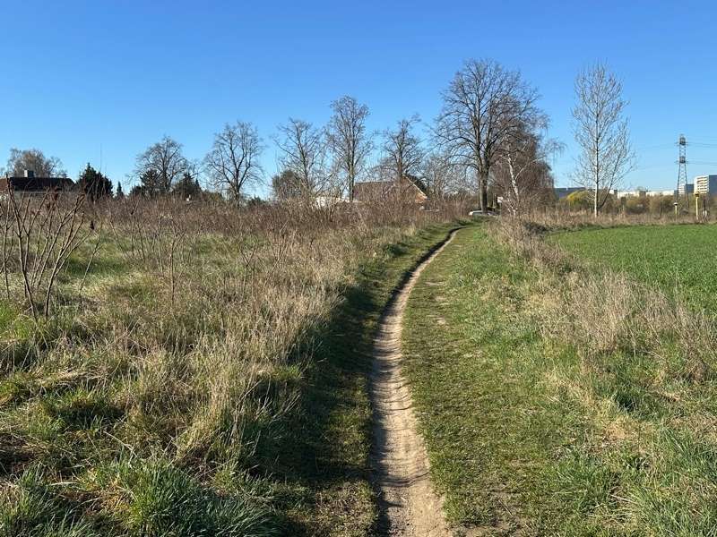 Bild von Bauen ohne Zinsstress: Exklusives Baugrundstück in Eiche für Ihr individuelles KLINKER HAUS