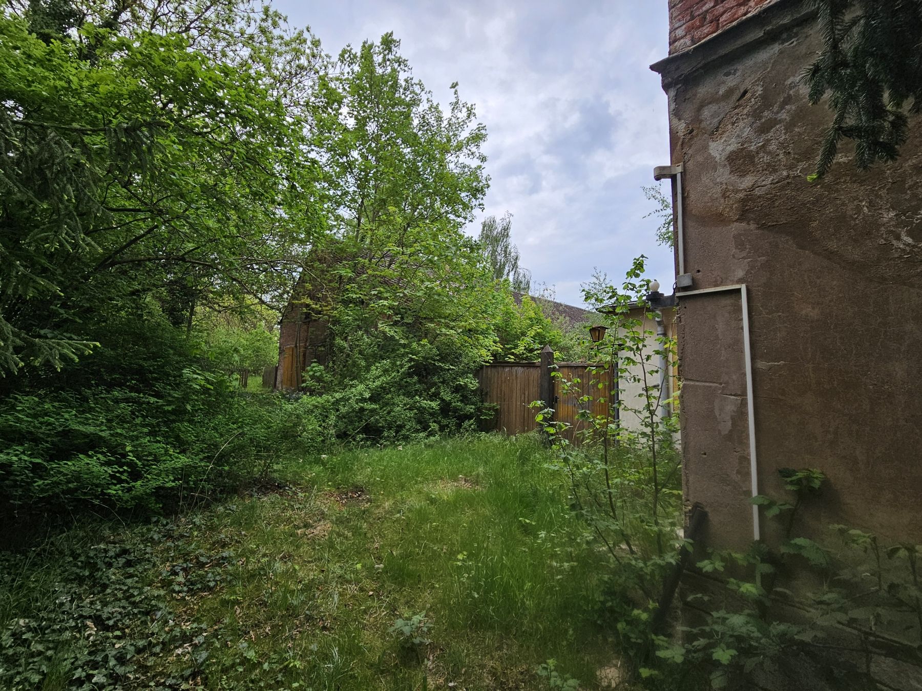 Bild von Ein Raum für Visionen - Seltenes Grundstücksangebot mit über 6.500 m² Fläche