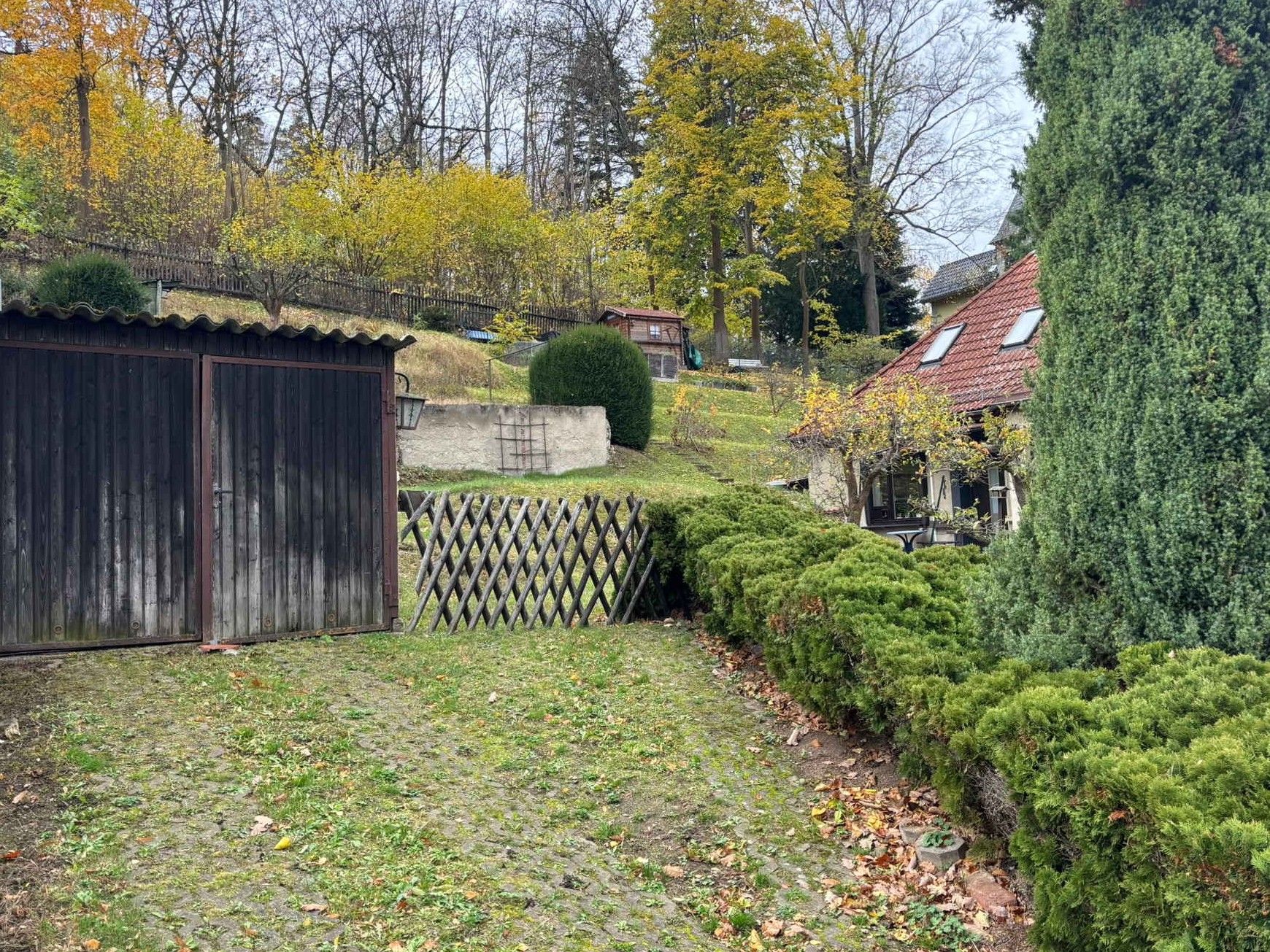 Bild von Wernigerode am Waldrand