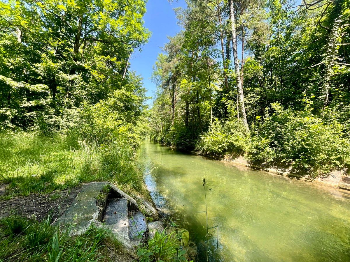 Bild von Urbanes Traumgrundstück am Siebentischwald