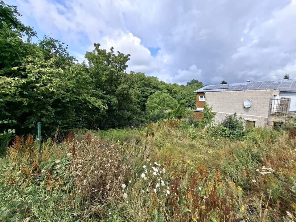 Bild von zentrales Grundstück in Nideggen - Ihr Raum für Visionen und Projekte