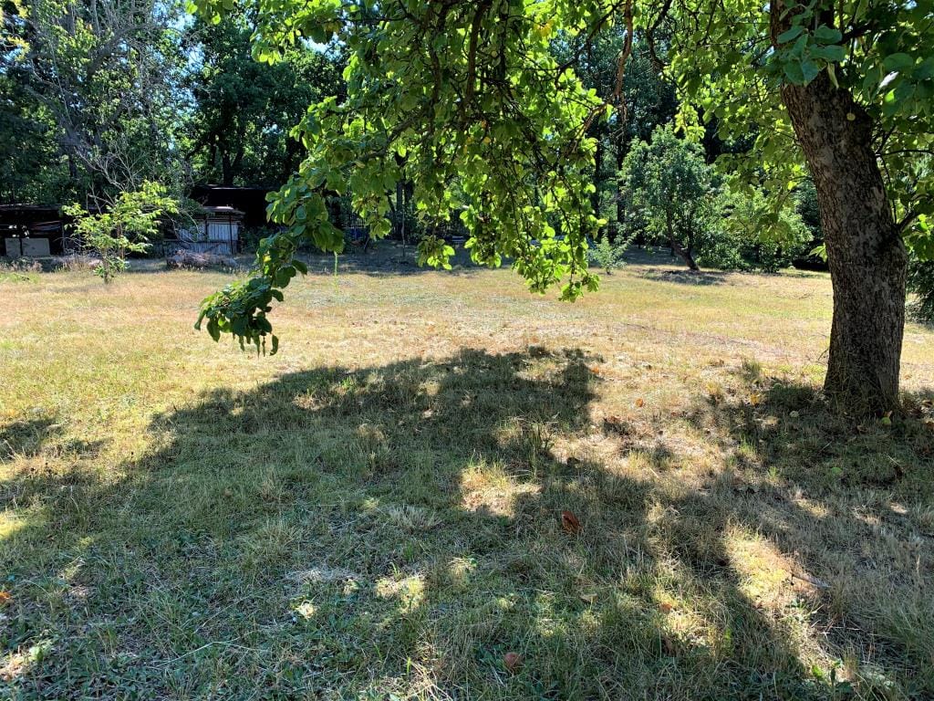 Bild von Großzügiges Traumgrundstück in exklusiver Höhenlage von Niederau