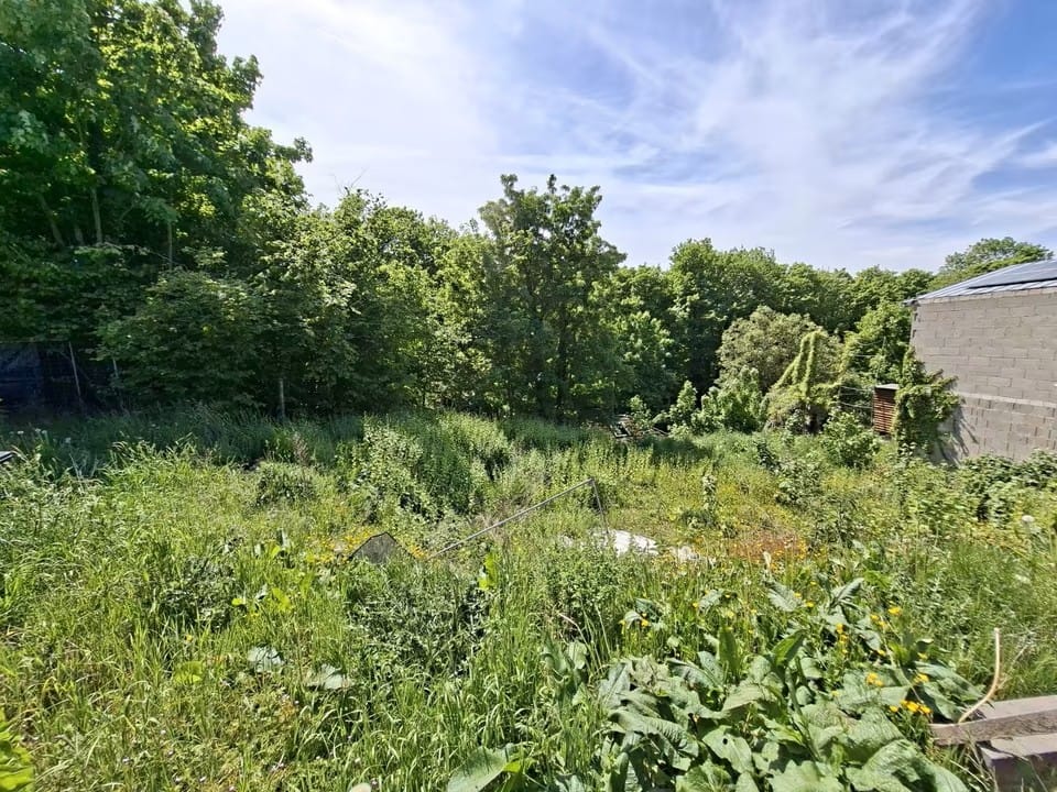 Bild von zentrales Grundstück in Nideggen - Ihr Raum für Visionen und Projekte