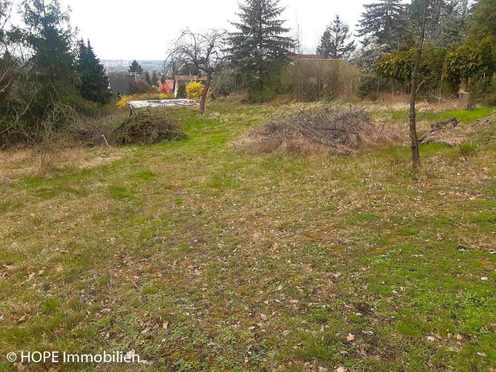 Bild von Großzügiges Traumgrundstück in exklusiver Höhenlage von Niederau