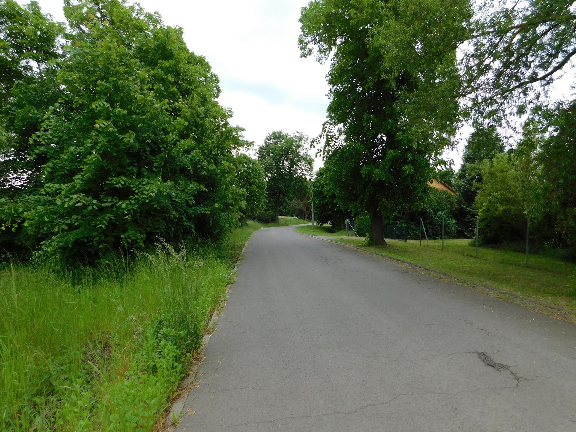 Bild von Baugrundstück nördlicher Rand von Pritzen