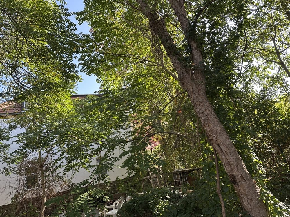 Bild von Exclusives Baugrundstück in Leipzig-Lindenau | Sofort bebaubar | Lastenfrei | Vollerschlossen