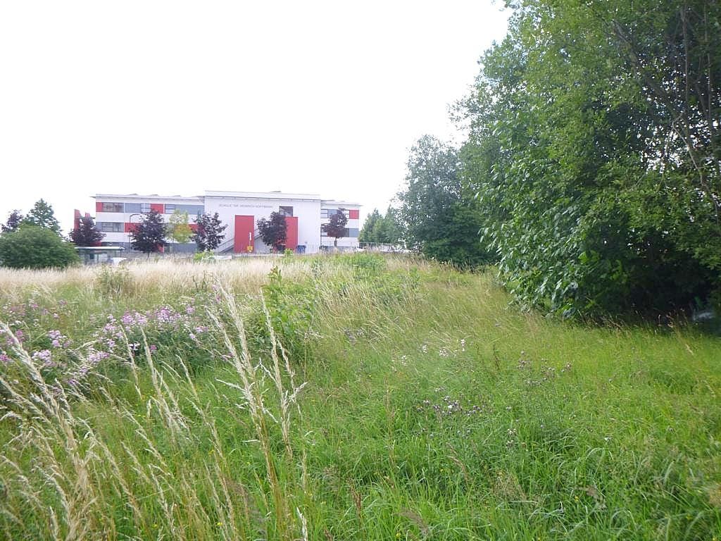 Bild von Baugrundstück für Ihr Einfamilienhaus / Zweifamilienhaus / Doppelhaus in Pirna Sonnenstein!