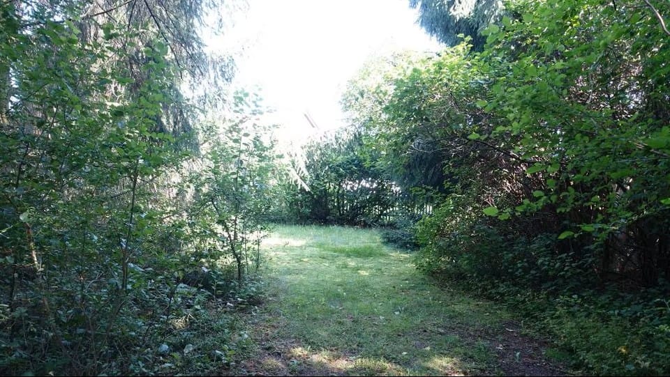 Bild von Wohnen in Freiberg – umgeben von Natur