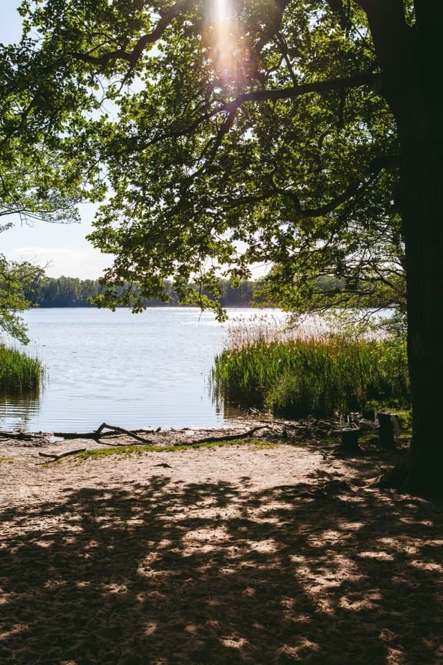 Bild von Ihr gemeinsamer Wohntraum am Summter See – zwei Familien, ein Grundstück, unendliche Möglichkeiten.
