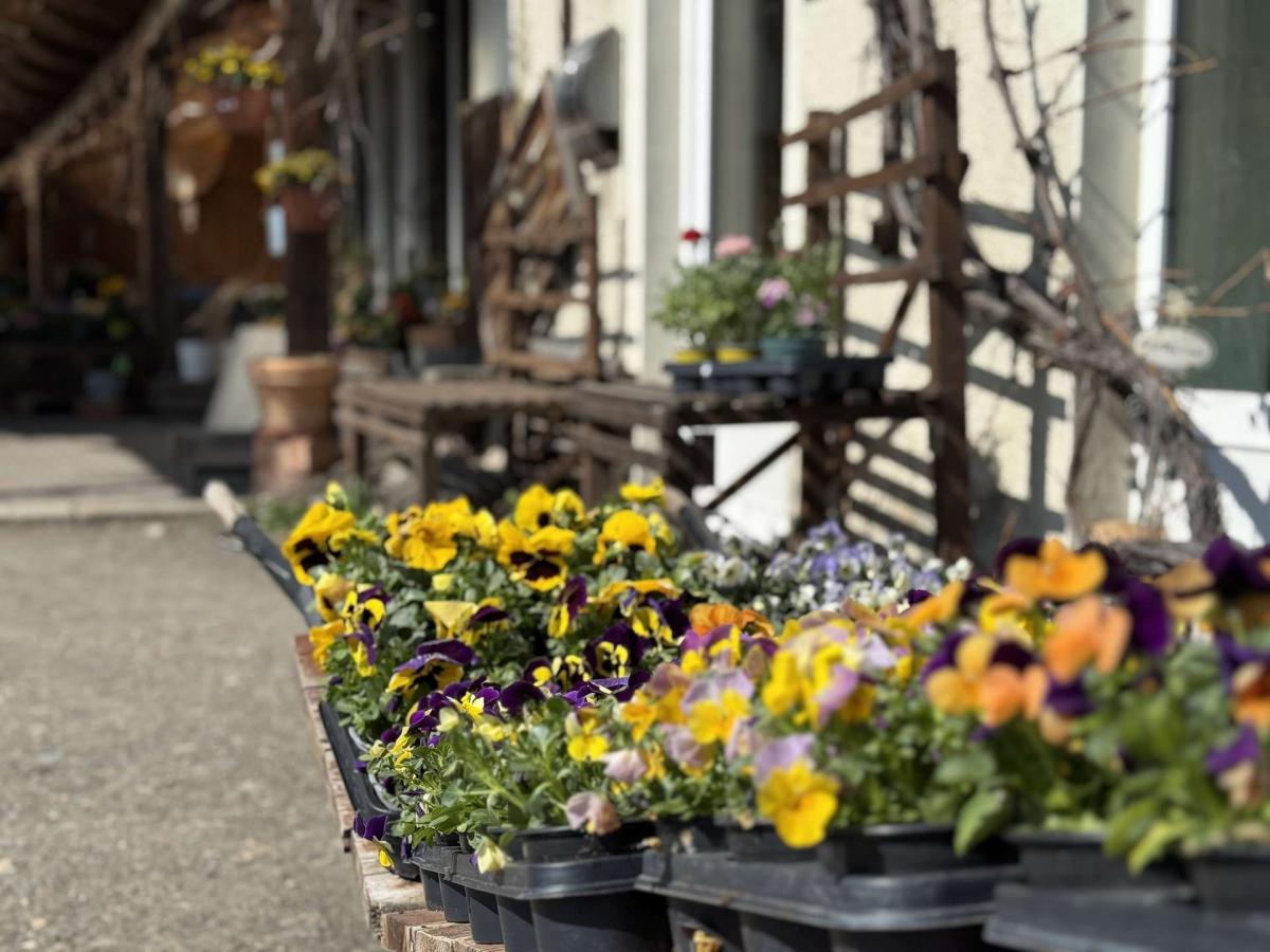 Bild von Neubaugebiet Bahnhofstraße/Benndorfer Weg – freie Planung, freie Entscheidungen