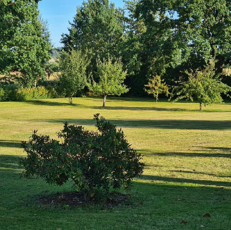 Bild von Grundstück/Baugrundstück in Elstra/Ossel 2