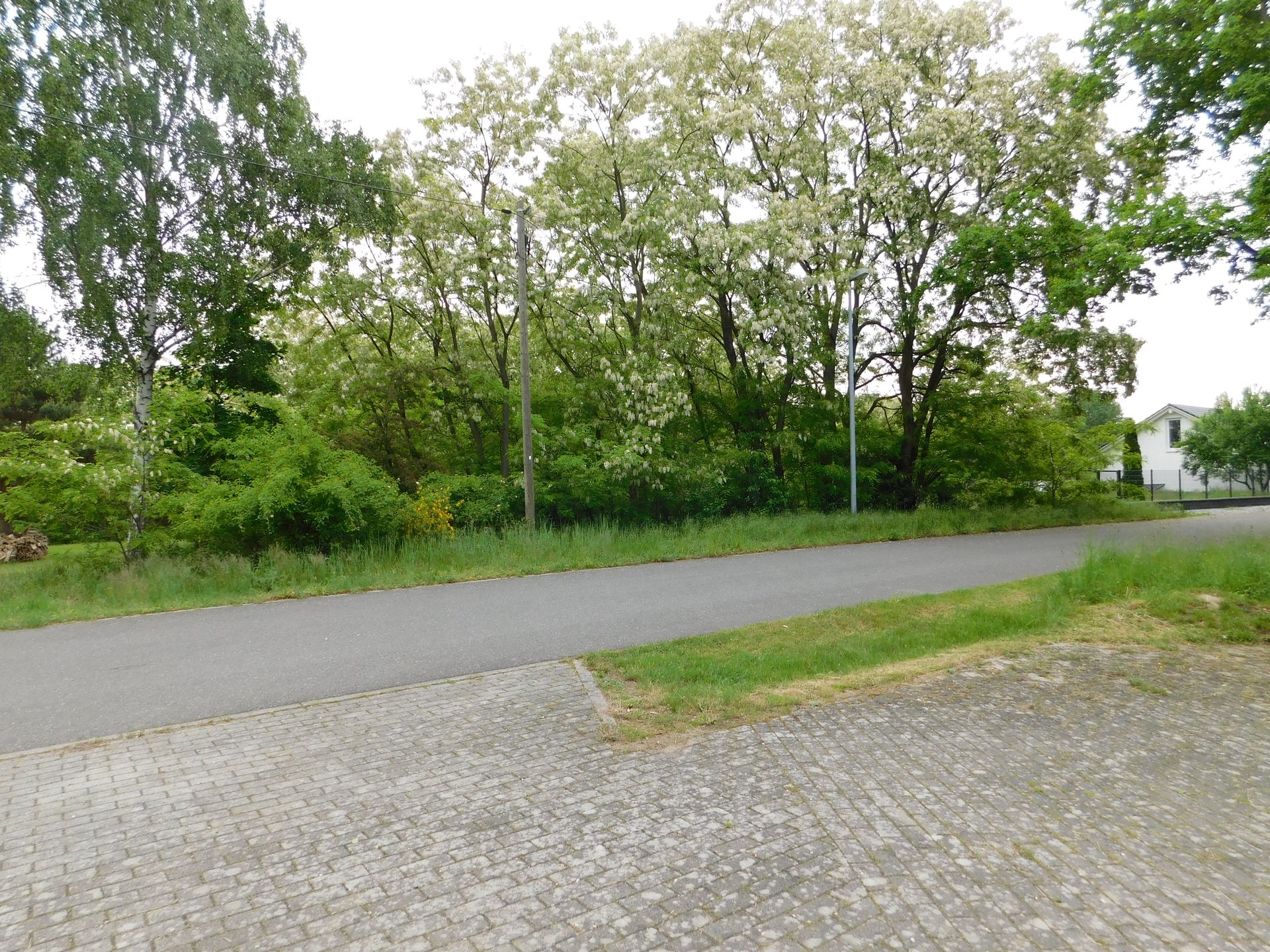 Bild von Baugrundstück östlicher Rand von Pritzen