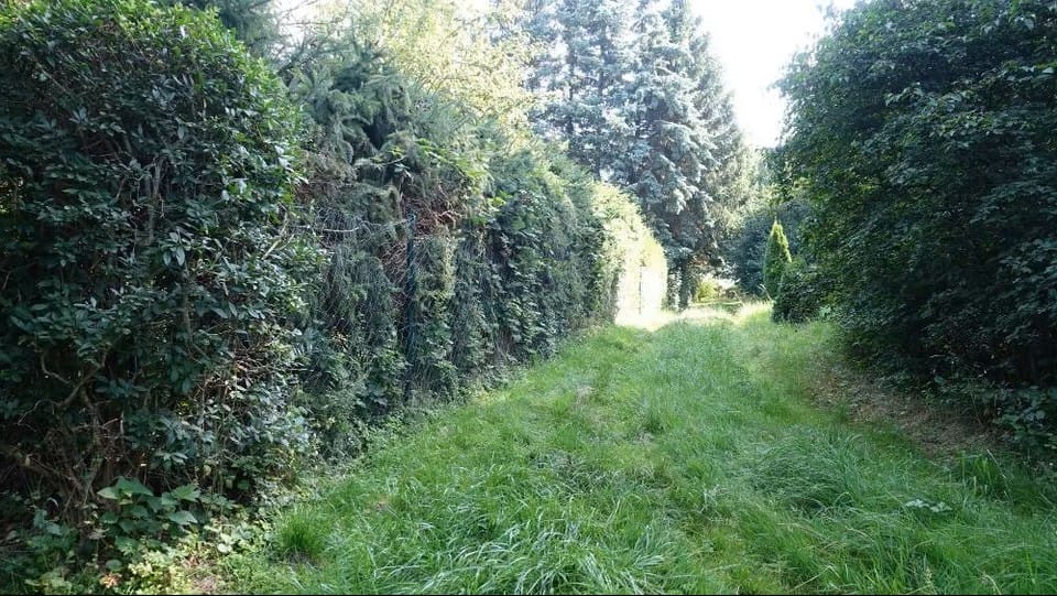 Bild von Wohnen in Freiberg – umgeben von Natur