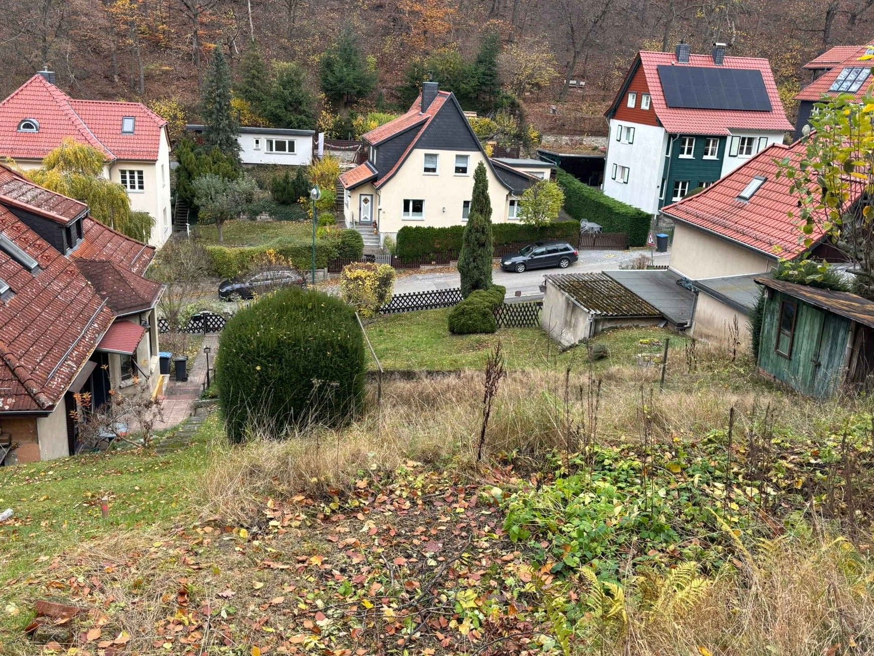 Bild von Wernigerode am Waldrand