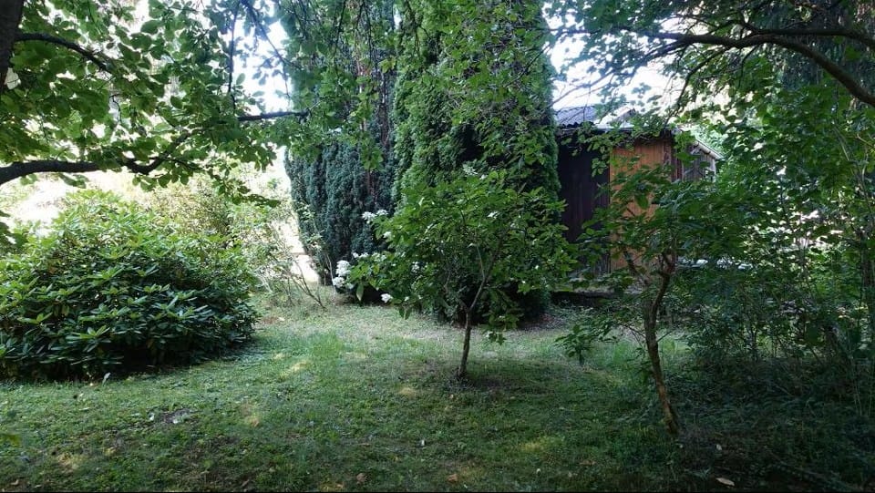 Bild von Wohnen in Freiberg – umgeben von Natur