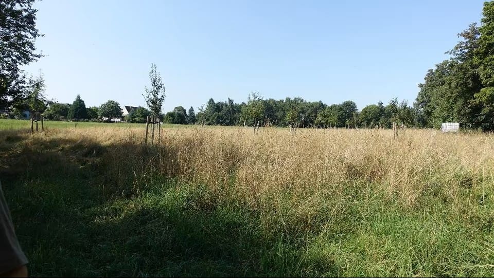 Bild von Wohnen in Freiberg – umgeben von Natur