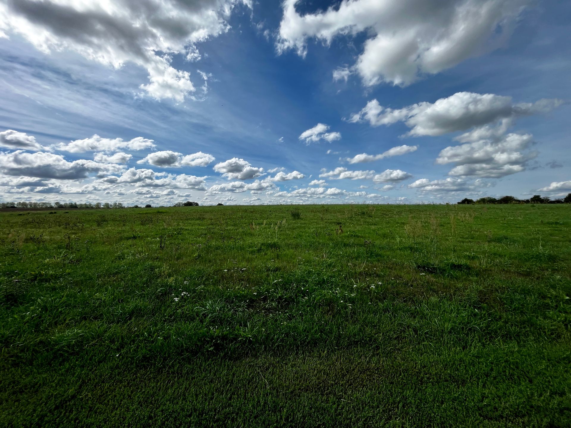 Bild von Ruhiges Baugrundstück mit unverbaubarem Blick – Bernau Nibelungen