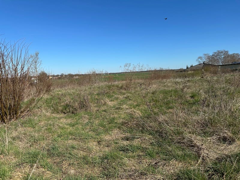 Bild von Zinsfrei ins Eigenheim: Ihr Familienglück in Eiche – Provisionsfrei direkt vom Eigentümer!