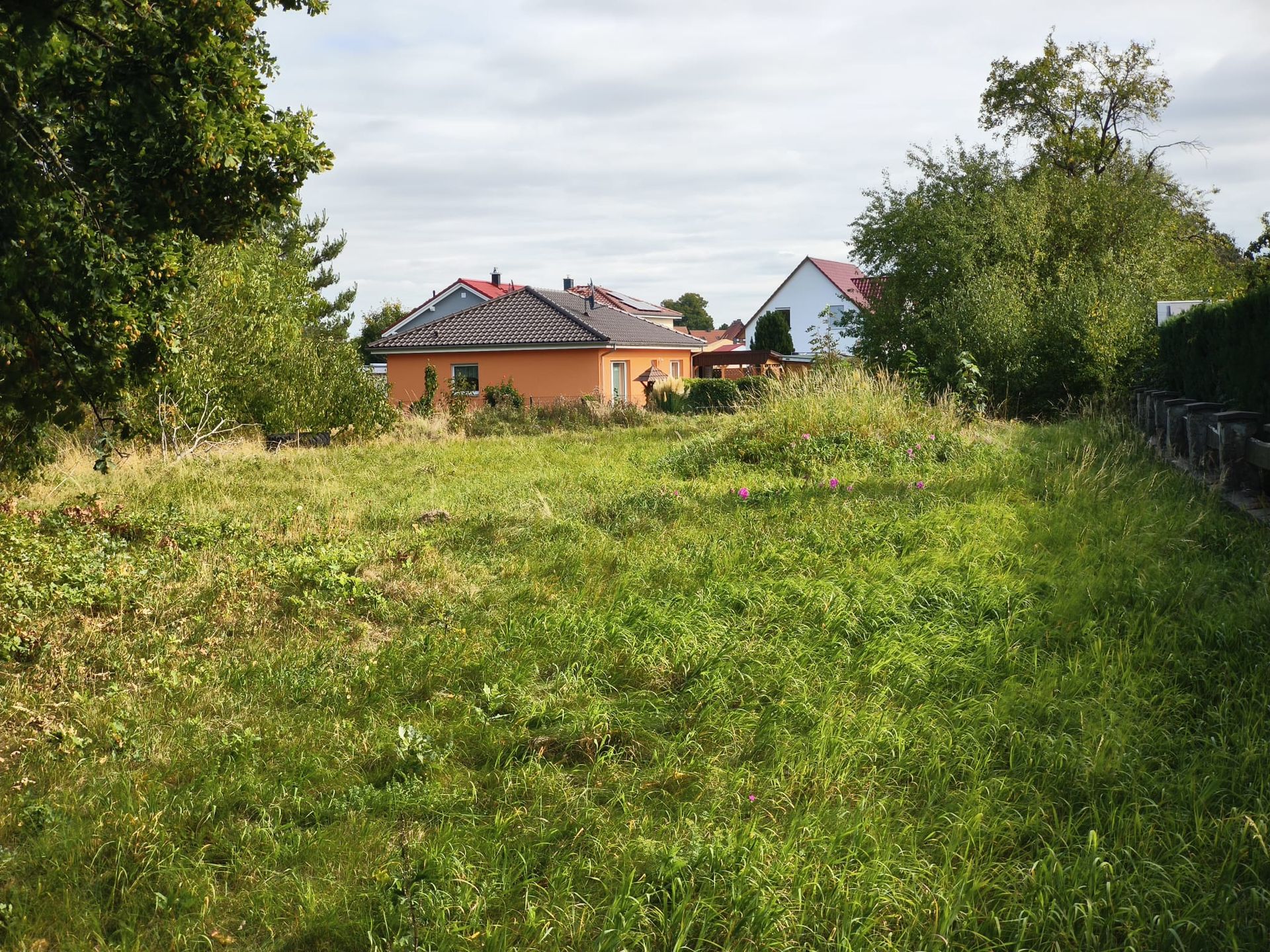 Bild von Baugrundstück in Stapelburg